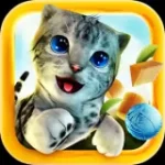 ico-cat-simulator-1622113804-160